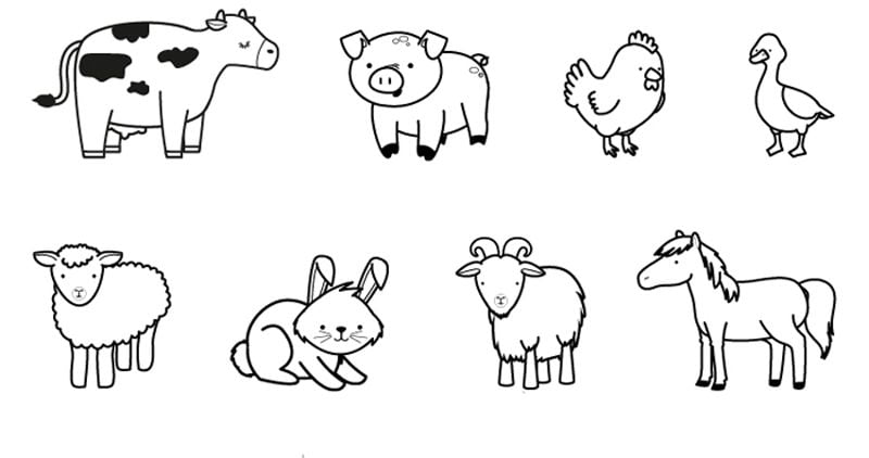 ▷▷  - Dibujos de animales fáciles de dibujar y colorear