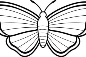 Mariposas www.dibujosfaciles.es