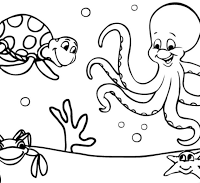 Animales marinos dibujosfaciles.es