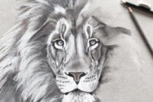 dibujo leon a lapiz