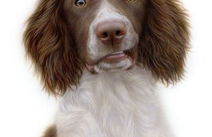 Dibujo de Becky Chan