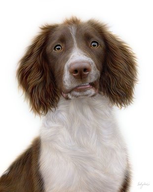 Dibujo de Becky Chan